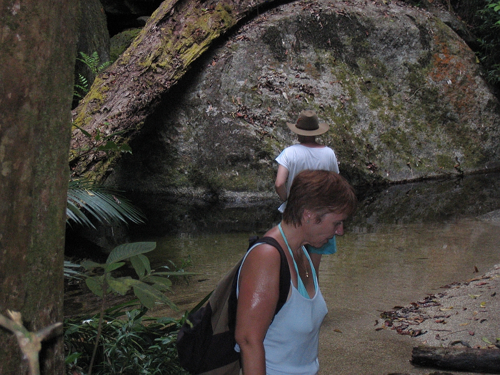 CairnsTC089 Mossman Gorge.jpg